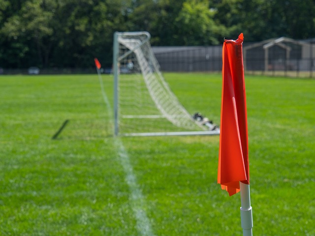 仅体现了她 仅体现了她