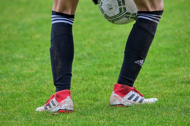 知仅停留在 知仅停留在