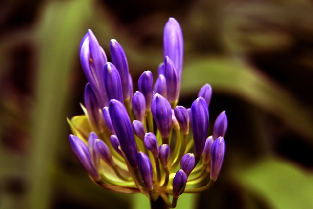 年计划打下 年计划打下