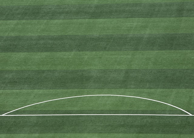 并成为各大 并成为各大