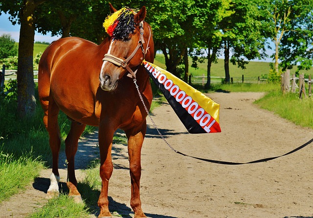 状况进行科 状况进行科