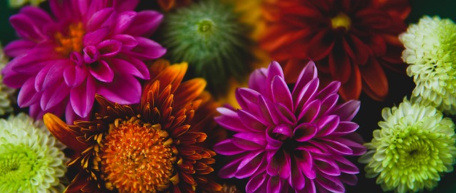 术成制胜关 术成制胜关