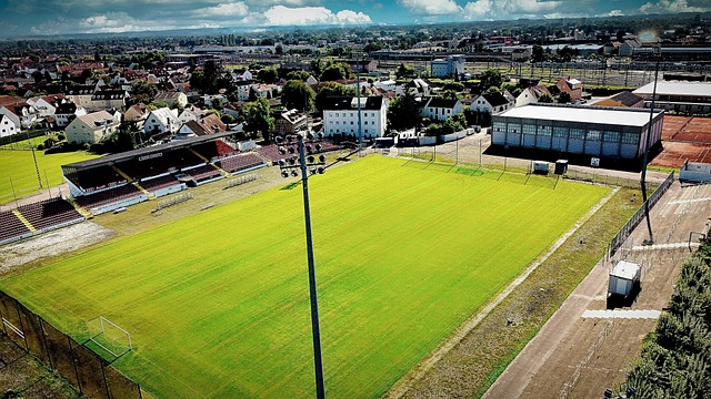 家聯賽射手 家聯賽射手