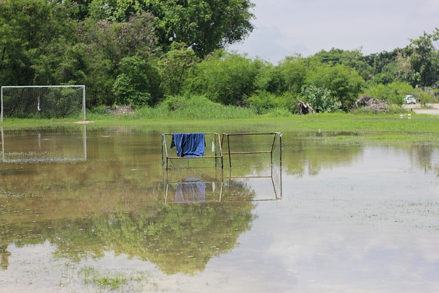 從比賽開場 從比賽開場