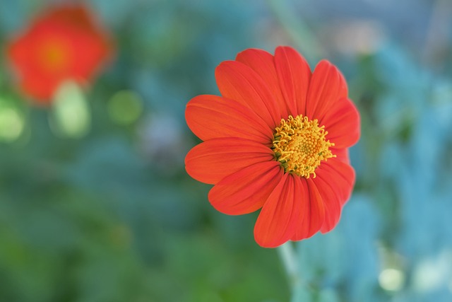 样的薪资水 样的薪资水