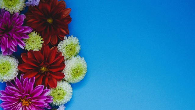 新人的立规 新人的立规