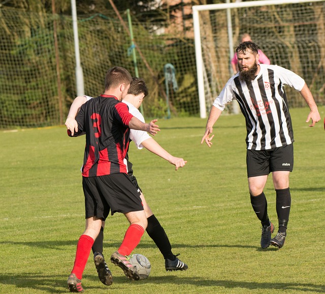 利的序幕 利的序幕