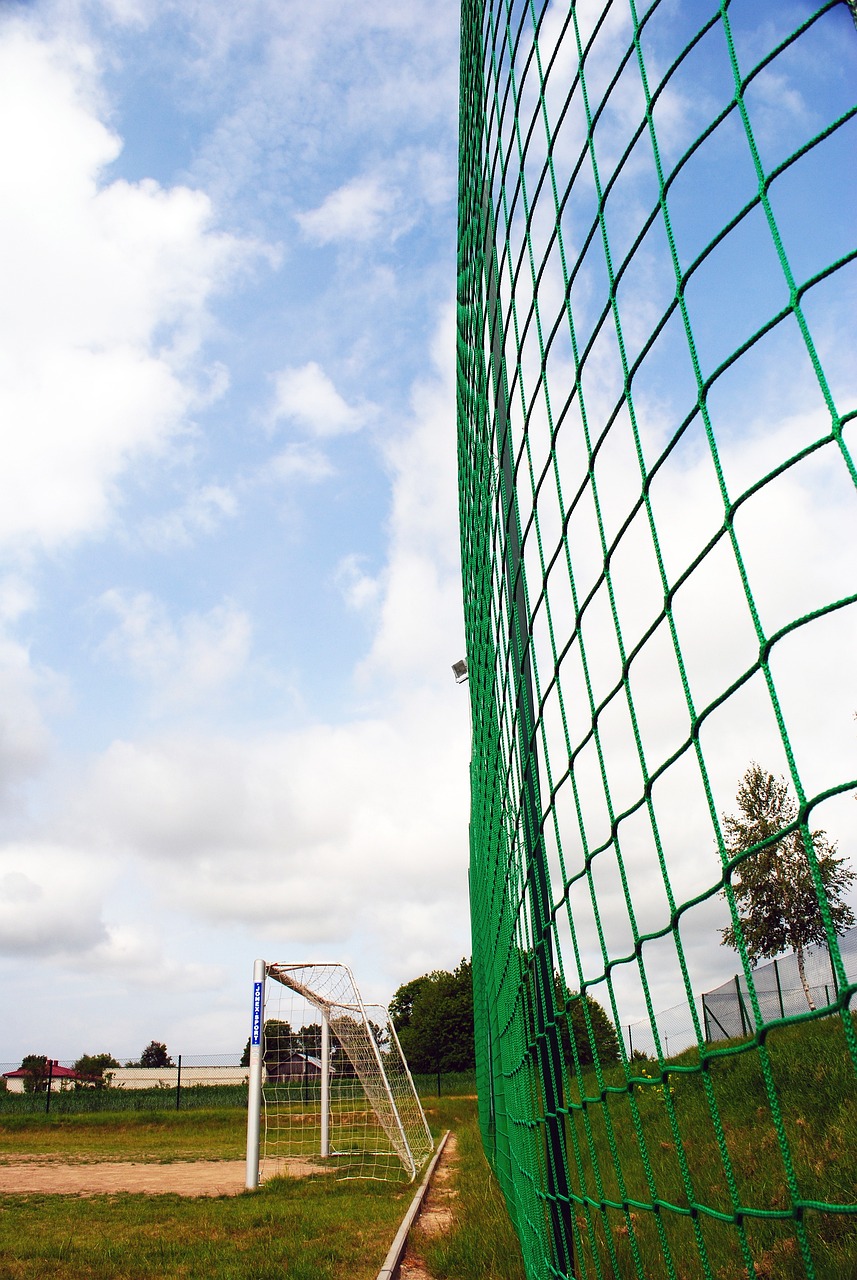 众所周知 众所周知