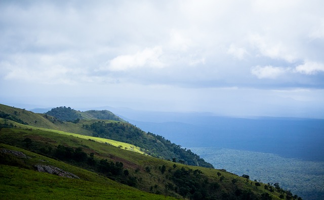 开发出多项 开发出多项