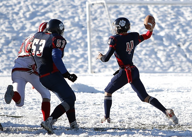 有碳捕集功 有碳捕集功