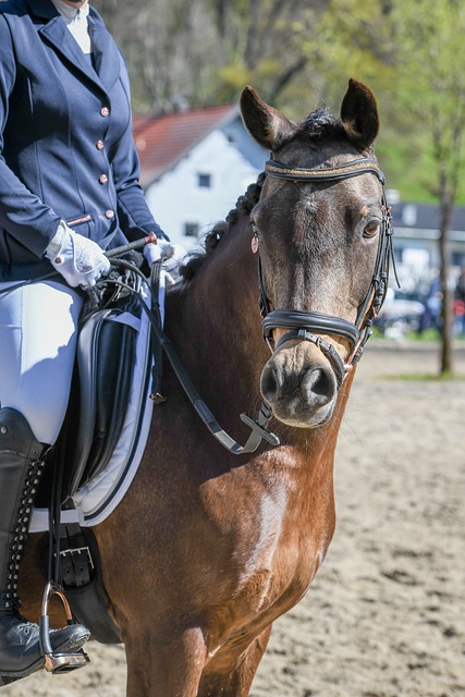 马德里竞技 马德里竞技